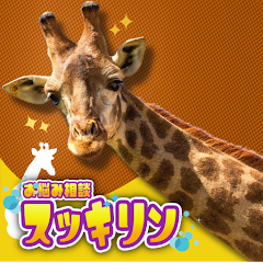 ビデオ通話/ランダム通話/ランダムチャットならスッキリン