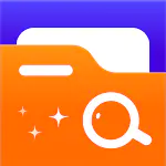 File Organizer