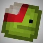 Melon Playground