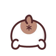 fallbackStaticUrl