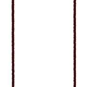 fallbackStaticUrl
