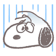 fallbackStaticUrl
