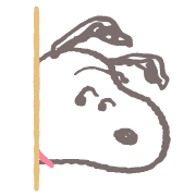fallbackStaticUrl