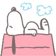 fallbackStaticUrl