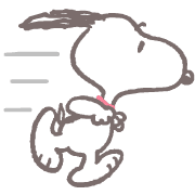fallbackStaticUrl