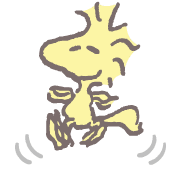 fallbackStaticUrl
