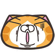 fallbackStaticUrl