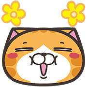 fallbackStaticUrl