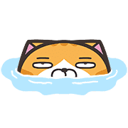 fallbackStaticUrl