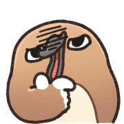 fallbackStaticUrl