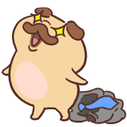 fallbackStaticUrl