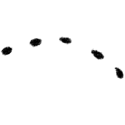 fallbackStaticUrl