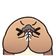 fallbackStaticUrl