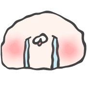 fallbackStaticUrl